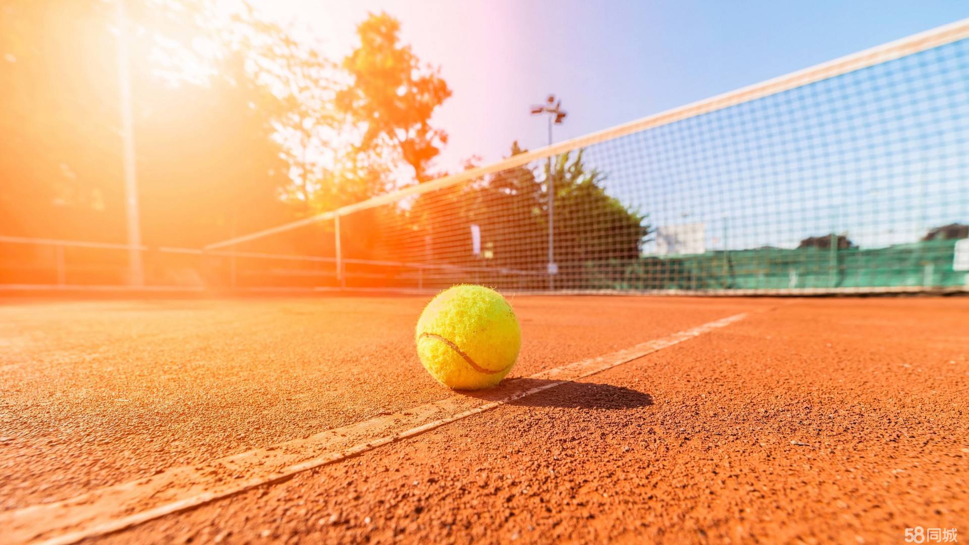 也是对传统 也是对传统