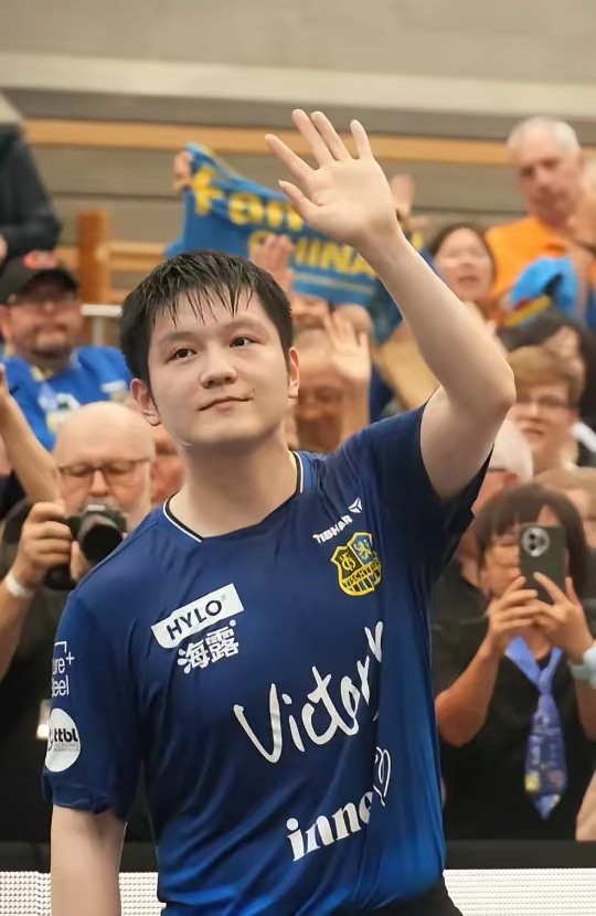 从哪里跌倒 从哪里跌倒